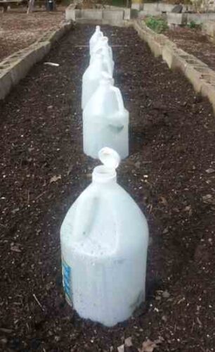 Uses for Empty Plastic Bottles in Your Garden